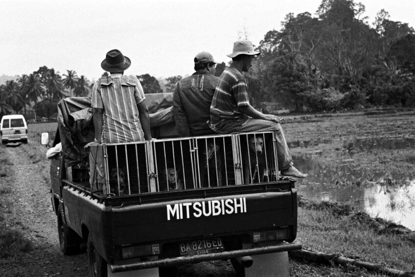 D’autres chasseurs