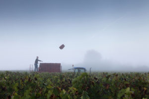 Chateau reignac bordeaux superieur